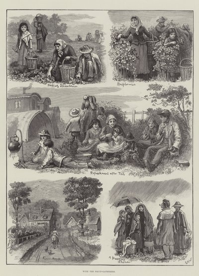With the Fruit-Gatherers by Edmund Richard White